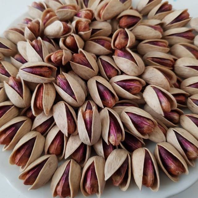 خرید عمده پسته اکبری تازه خندان لوکس  + مناسب صادرات